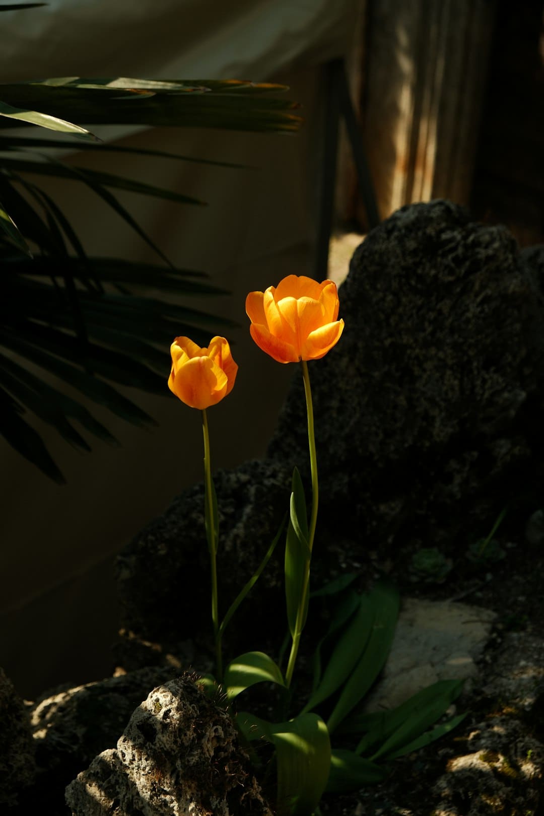 http://n.sinaimg.cn/news/transform/w600h400/20180307/7kVB-fxipenp1192831.jpg?zdy